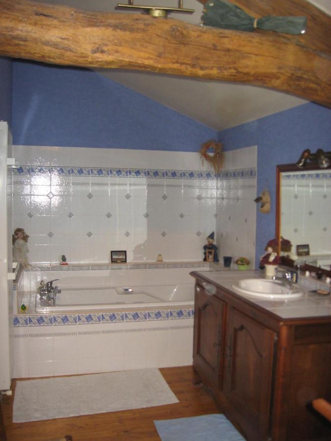 La Ferme De Magnantru Bed & Breakfast Perigne Ngoại thất bức ảnh